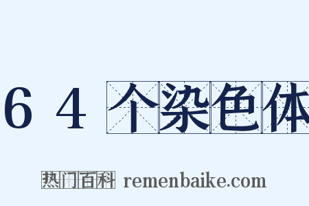 64个染色体是什么意思的图片